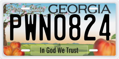 GA license plate PWN0824