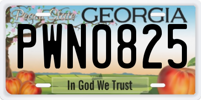GA license plate PWN0825