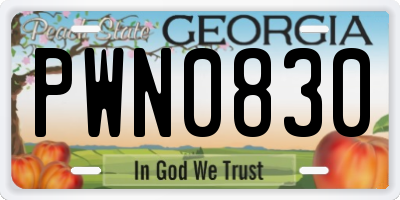GA license plate PWN0830