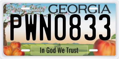 GA license plate PWN0833