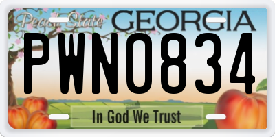 GA license plate PWN0834
