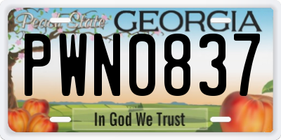 GA license plate PWN0837