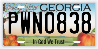 GA license plate PWN0838