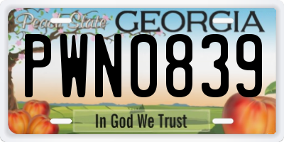 GA license plate PWN0839