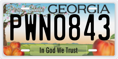 GA license plate PWN0843