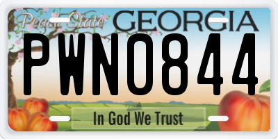 GA license plate PWN0844