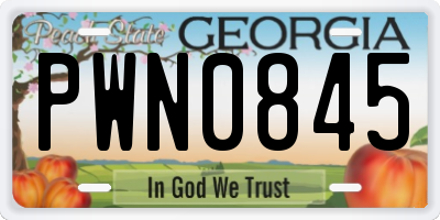 GA license plate PWN0845