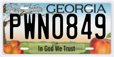 GA license plate PWN0849