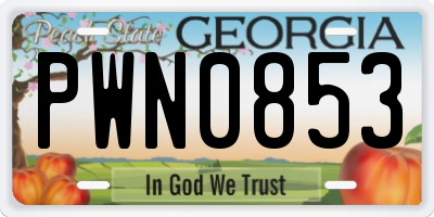 GA license plate PWN0853