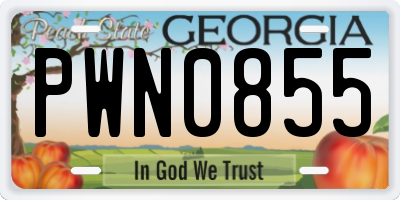 GA license plate PWN0855