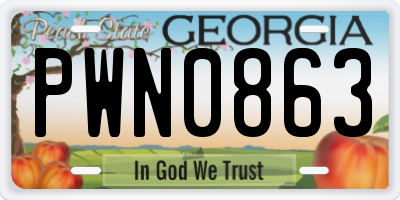 GA license plate PWN0863