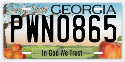 GA license plate PWN0865