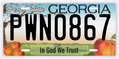 GA license plate PWN0867