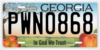 GA license plate PWN0868