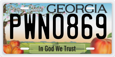 GA license plate PWN0869
