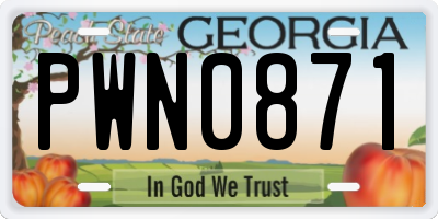 GA license plate PWN0871