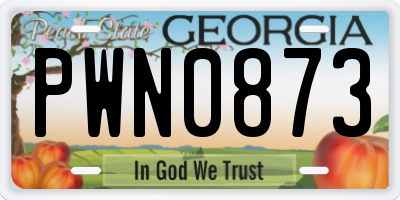 GA license plate PWN0873