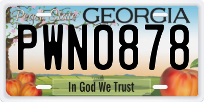 GA license plate PWN0878