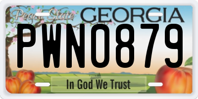 GA license plate PWN0879