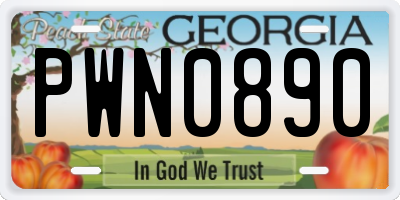 GA license plate PWN0890