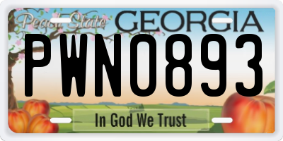 GA license plate PWN0893