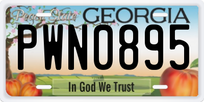 GA license plate PWN0895