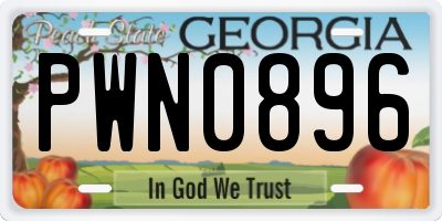 GA license plate PWN0896