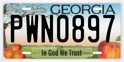 GA license plate PWN0897