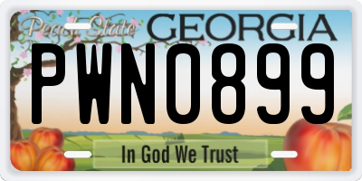 GA license plate PWN0899