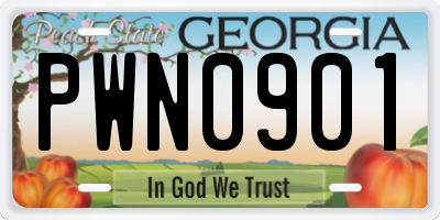 GA license plate PWN0901