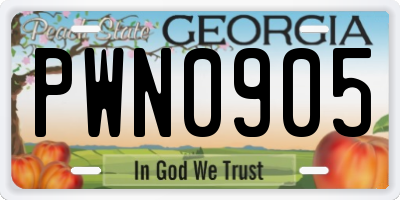 GA license plate PWN0905