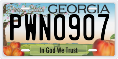 GA license plate PWN0907