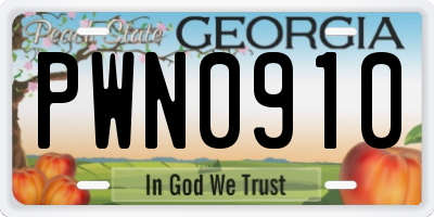 GA license plate PWN0910