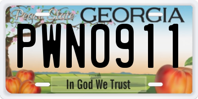GA license plate PWN0911