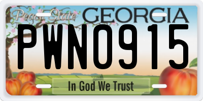 GA license plate PWN0915