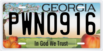 GA license plate PWN0916