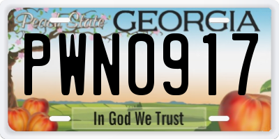 GA license plate PWN0917