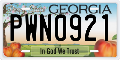 GA license plate PWN0921