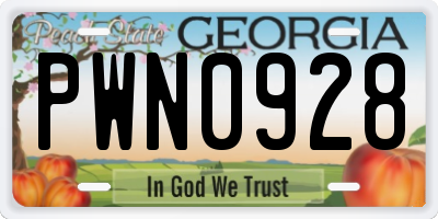 GA license plate PWN0928