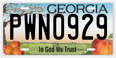 GA license plate PWN0929