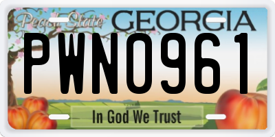 GA license plate PWN0961