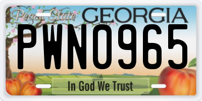 GA license plate PWN0965
