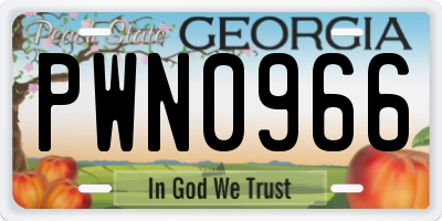 GA license plate PWN0966