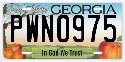 GA license plate PWN0975