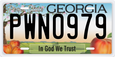 GA license plate PWN0979