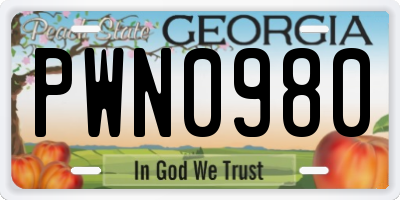 GA license plate PWN0980
