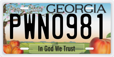 GA license plate PWN0981