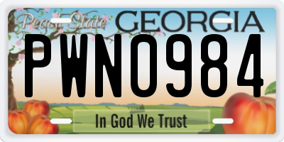 GA license plate PWN0984