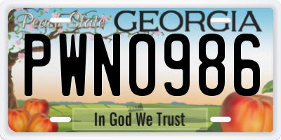 GA license plate PWN0986