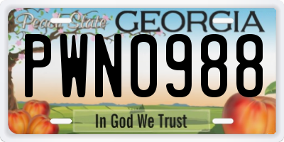 GA license plate PWN0988